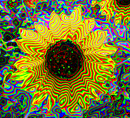 portal image